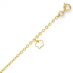 Chaîne de cheville plaqué or