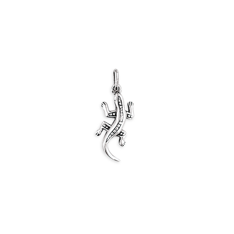 Pendentif argent 