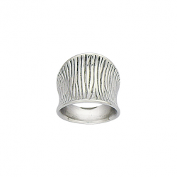 Bague acier concave motif zebre