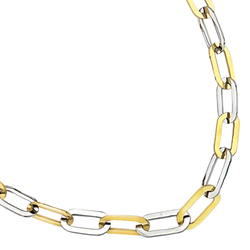 Collier acier bicolore en 47cm
