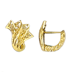 Boucles d'oreilles...