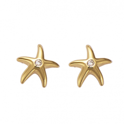 Boucles d'oreilles puce...
