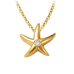 Pendentif étoile de mer...