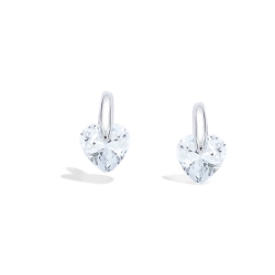Boucles d'oreilles puce...