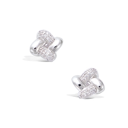 Boucle d'oreilles argent et...