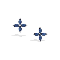 Boucle d'oreilles argent et...