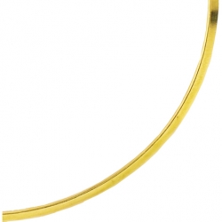 Collier ras de cou rigide...